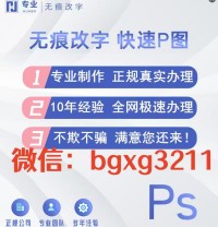 下载的征信报告pdf修改软件制作美化