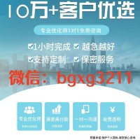 入职信用报告pdf模版可修改完整版