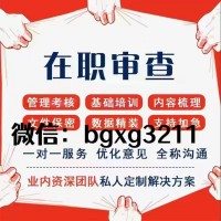 纸质征信报告扫描修改无痕优化入职成功